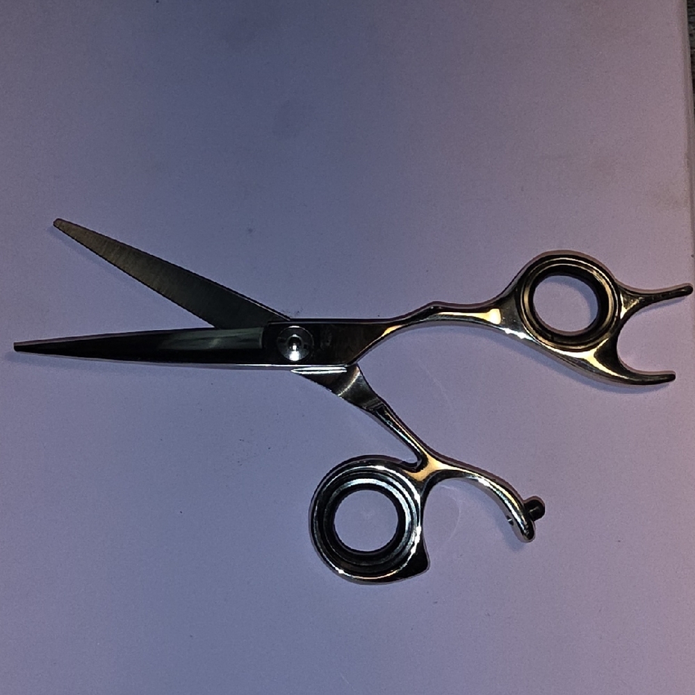 Professional Silver Hair Cutting Scissors